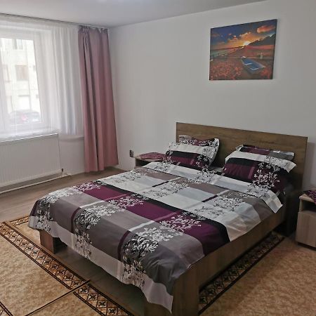 Апартаменты Apartament Bucovina Кымпулунг-Молдовенеск Экстерьер фото