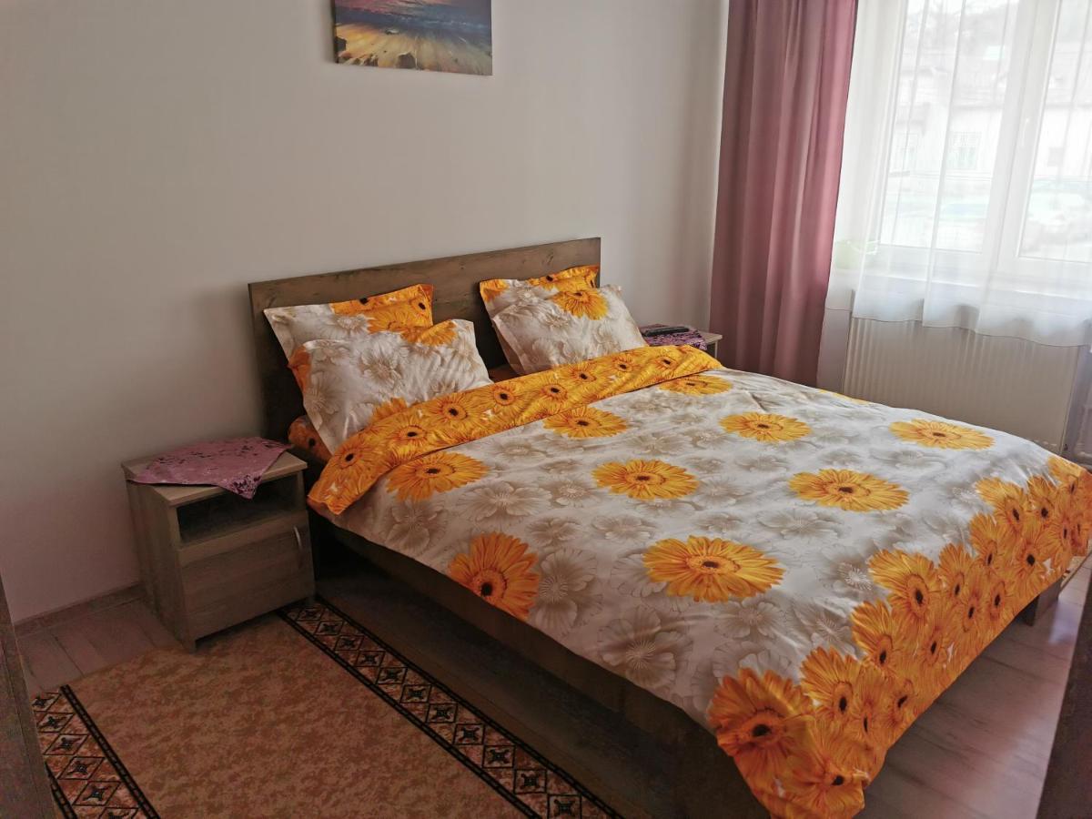 Апартаменты Apartament Bucovina Кымпулунг-Молдовенеск Экстерьер фото